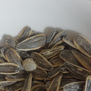 A101 Çerezya Tuzlu Çekirdek 400 Gr