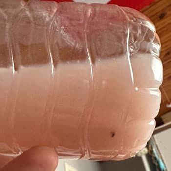 Hıq Nutrition Protein Tozu İçinde Yabancı Madde