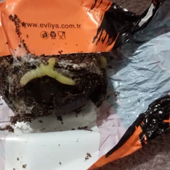 A101 Kurtlu Ürün Satıyor