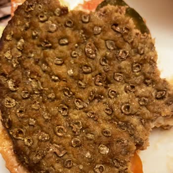 Burger King Bozuk Et Problemi