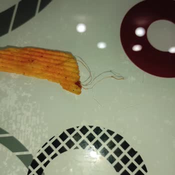 BİM Patito Acılı Cips İp Çıktı