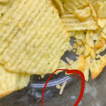 As We Were Eating Lay's, a Live Worm Sneaked Out from the Package