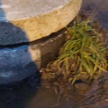 İBB - İstanbul Büyükşehir Belediyesi Taşan Lağım Rögarı