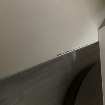 Bellona Esenler Kurulum Sorunu