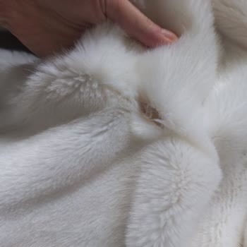 Temiz.co Ürünümü Yırttı Ve Hiçbir Şekilde Destek Olmadı