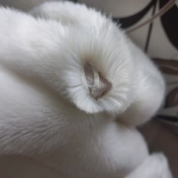 Temiz.co Ürünümü Yırttı Ve Hiçbir Şekilde Destek Olmadı