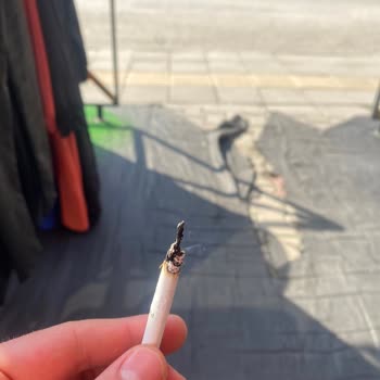 Philip Morris Odun Parçası Çıkması