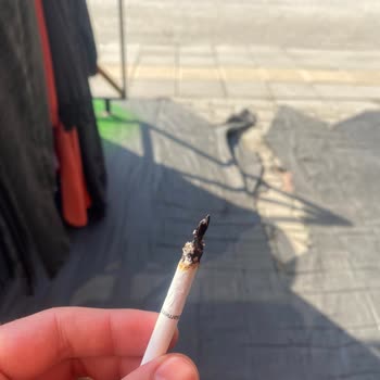 Philip Morris Odun Parçası Çıkması