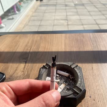 Philip Morris Odun Parçası Çıkması