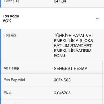 Türkiye Hayat Emeklilik BES Paramı Acil Almak İstiyorum