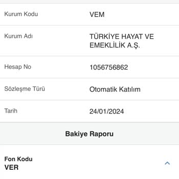 Türkiye Hayat Emeklilik BES Paramı Acil Almak İstiyorum