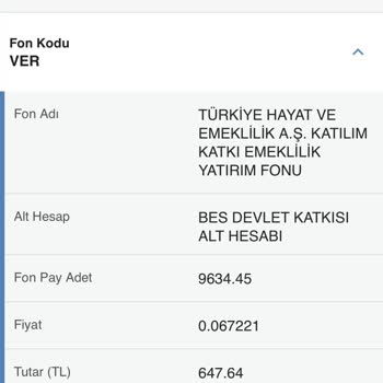 Türkiye Hayat Emeklilik BES Paramı Acil Almak İstiyorum