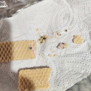 Eti Gıda Eti Hoşbeş Gofret