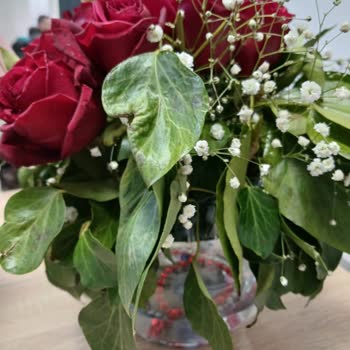 Kayseri Çiçek Dünyası Sipariş Edilen Çiçeği Göndermiyor