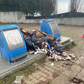 Tuzla Belediyesi Hijyeni Sağlanmayan Sokaklar