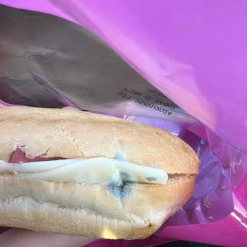 BİM'den Aldığım Ürün Küflü Çıktı!