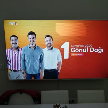 6 Aylık 65 İnç Onvo Marka Televizyonun Ekran Sorunu