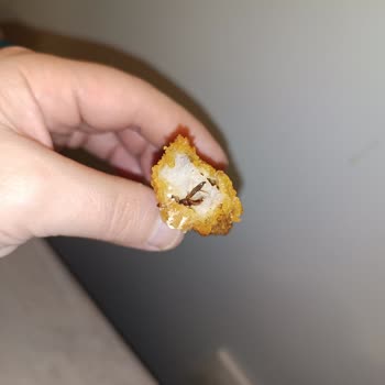 Böcekli Dardanel Fish Finger