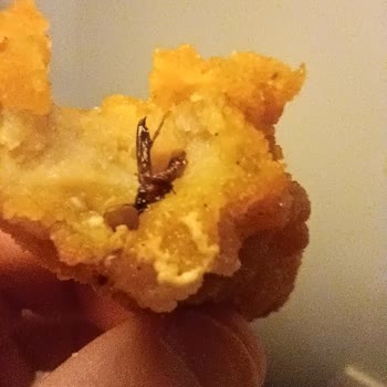 Böcekli Dardanel Fish Finger