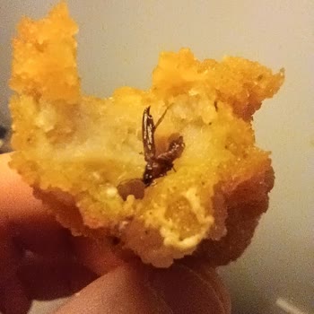 Böcekli Dardanel Fish Finger