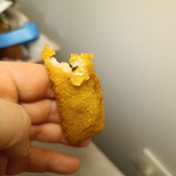 Böcekli Dardanel Fish Finger