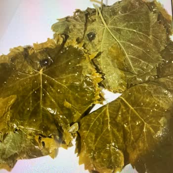 Tarım Bahçe (Tarimbahcen.com) Görselle Alakası Olmayan Ürün