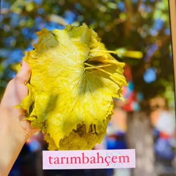 Tarım Bahçe (Tarimbahcen.com) Görselle Alakası Olmayan Ürün