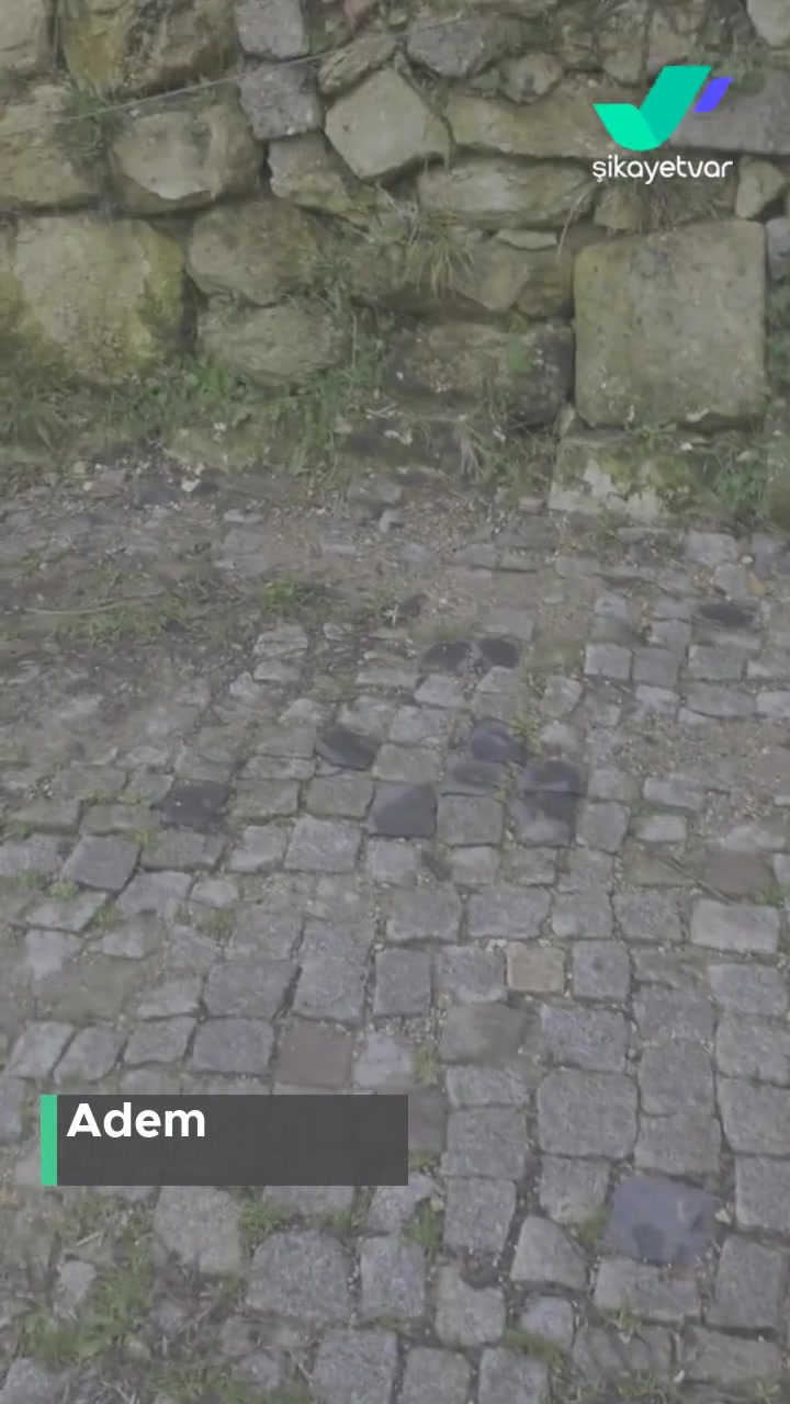 İBB - İstanbul Büyükşehir Belediyesi İSKİ 76 Bin Tl Yeni Abonelik Bedeli! videonun kapak resmi