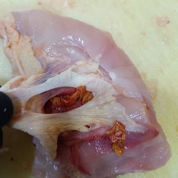 Şenpiliç Bozulmuş Tavuk Göğsü Parçaları