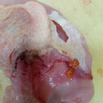 Şenpiliç Bozulmuş Tavuk Göğsü Parçaları