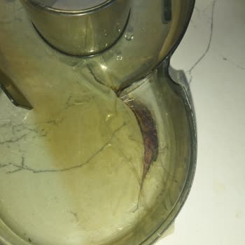 Kiwi Home Kiwi Meyve Sıkacağı Besleme Ağzı Çatladı!