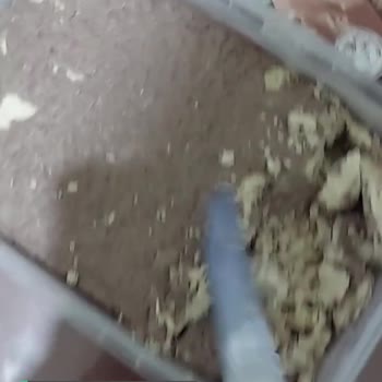 Torku 1kg Kakaolu Helva Rezaleti