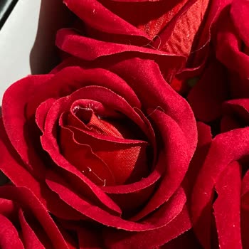 Gemrose Yapay Çiçekte Plastik Ve Uhu Kalıntıları Var