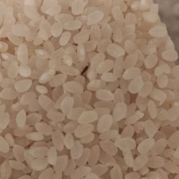 A101 Böcekli Pirinç Satıyor