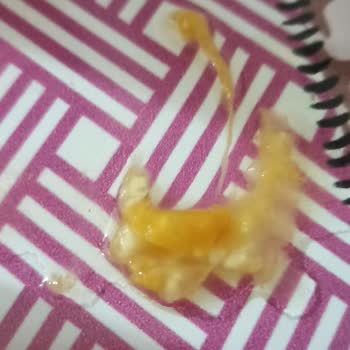 Tropicana Bozuk Ve Bilinmeyen Parçalar