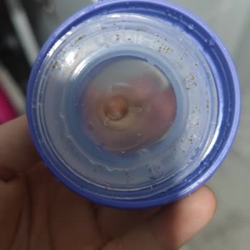 Lansinoh Biberon Ucu Lekeleri