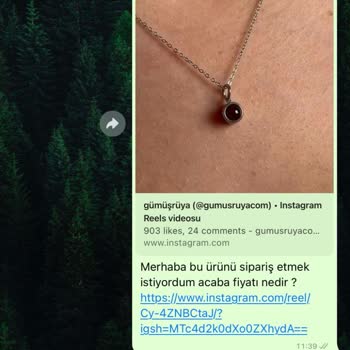 Gümüşrüya Kargoda Geciken Kolye Siparişi Ve İletişim Sorunları