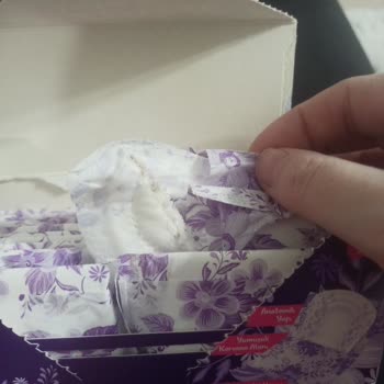 Scarlett Günlük Ped Kesit Küflü Ped