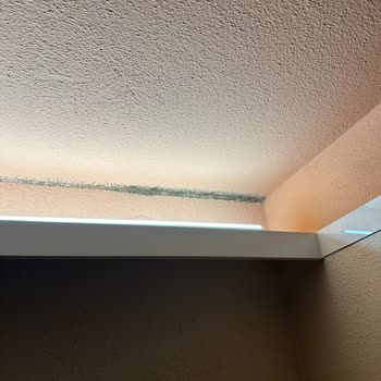 Kappatur Benelüx Küflü Oda