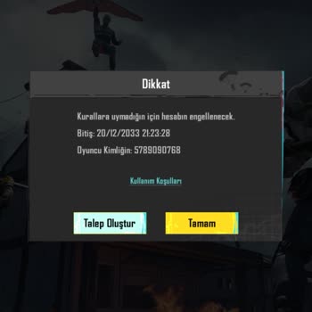 PUBG (Pubgmobile.com) Hesabım Çalındı Adam Banladı