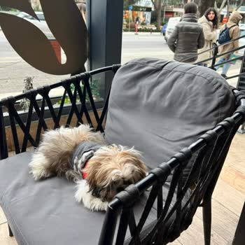 İnsan Sağlığı Hiçe Sayılıyor Tchibo Cafe