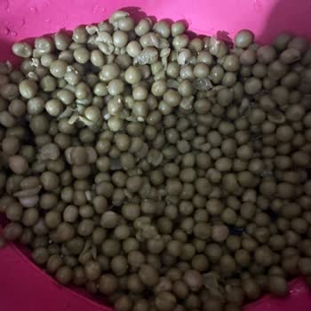 Tukaş Konserve Böcekli Çıktı!