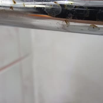 Psa Su Armatürleri Ürün Kalitesizliği