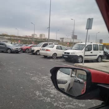 Başakşehir Çam ve Sakura Şehir Hastanesi Engelli Otopark Ve Tuvaletlerin Kullanımı