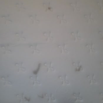 Doğtaş Beylikdüzü Ve Müşteri Hizmetleri Fiyaskosu