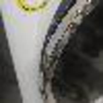 Vestel Çamaşır Makinesi Servis