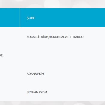 PTT Kargo Kargom Günlerdir Posta Dağıtım Şubesinde Bekletiliyor
