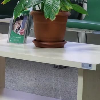 Ersoy Hastanesi Saksı Bakımsız Kalmış Kötü