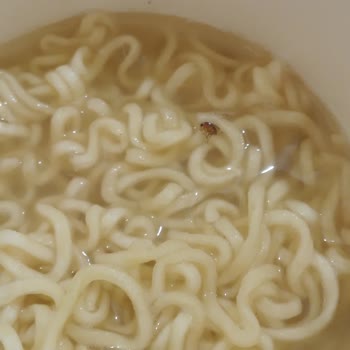 Berona Noodle Böcekli Yiyecek Satılıyor!