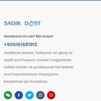 Param Boşa'mi Gitti